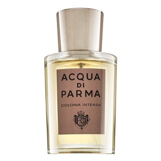 Acqua di Parma Colonia Intensa Eau de Cologne voor mannen 50 ml