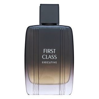 Aigner First Class Executive Eau de Toilette voor mannen 100 ml