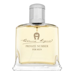 Aigner Private Number Eau de Toilette voor mannen 100 ml