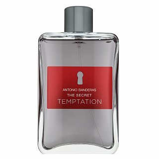 Antonio Banderas The Secret Temptation Eau de Toilette voor mannen 200 ml