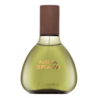 Antonio Puig Agua Brava Eau de Cologne voor mannen 100 ml