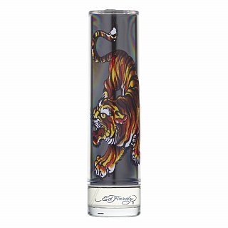 Christian Audigier Ed Hardy For Men Eau de Toilette voor mannen 100 ml