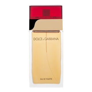 Dolce & Gabbana Femme Eau de Toilette voor vrouwen 100 ml