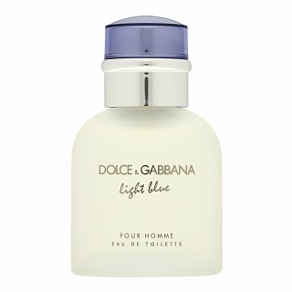 Dolce & Gabbana Light Blue Pour Homme Eau de Toilette voor mannen 40 ml