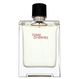 Hermes Terre D'Hermes Eau de Toilette voor mannen 100 ml