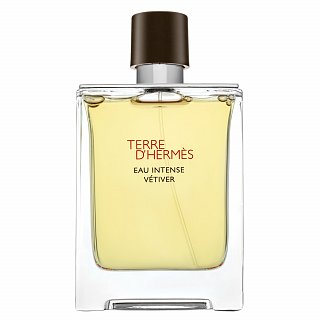 Hermes Terre D'Hermes Eau Intense Vetiver Eau de Parfum voor mannen 100 ml