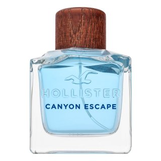 Hollister Canyon Escape Eau de Toilette voor mannen 100 ml