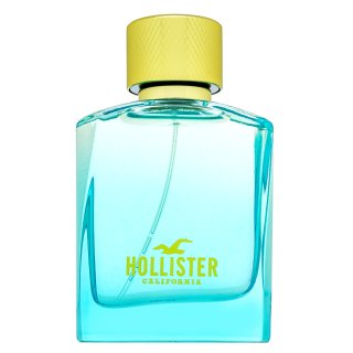 Hollister Wave 2 For Him Eau de Toilette voor mannen 50 ml