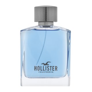 Hollister Wave For Him Eau de Toilette voor mannen 100 ml