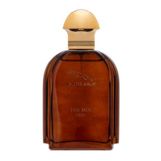 Jaguar Oud For Men Eau de Parfum voor mannen 100 ml