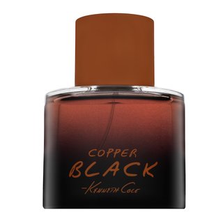 Kenneth Cole Black Copper Eau de Toilette voor mannen 100 ml