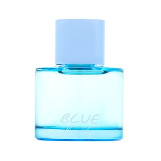 Kenneth Cole Blue Eau de Toilette voor mannen 100 ml