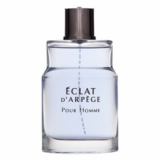 Lanvin Éclat d'Arpège Pour Homme Eau de Toilette voor mannen 100 ml