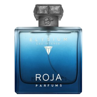 Roja Parfums Elysium Eau Intense Eau de Parfum voor mannen 100 ml