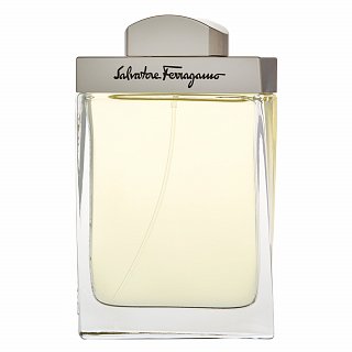 Salvatore Ferragamo Pour Homme Eau de Toilette voor mannen 100 ml