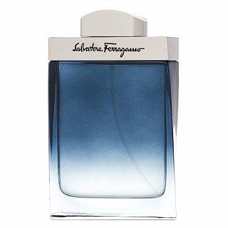 Salvatore Ferragamo Subtil Pour Homme Eau de Toilette voor mannen 100 ml