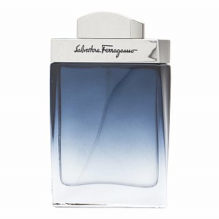 Salvatore Ferragamo Subtil Pour Homme Eau de Toilette voor mannen 50 ml