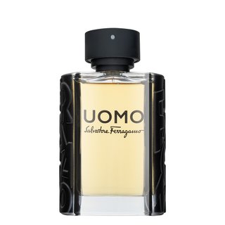 Salvatore Ferragamo Uomo Eau de Toilette voor mannen 100 ml